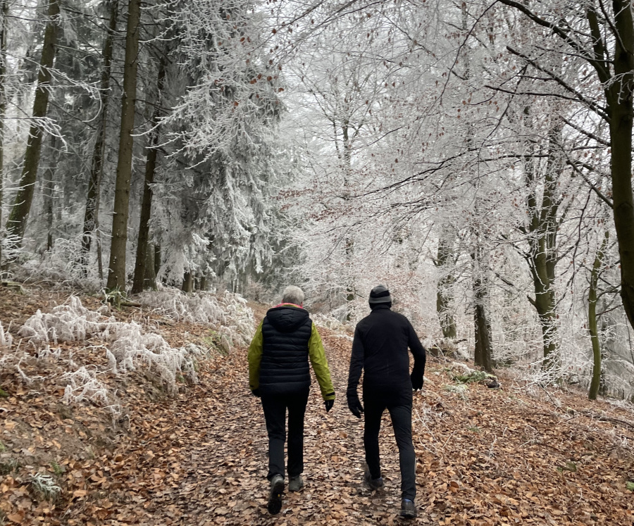 Bildunterschift